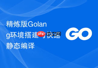精炼版golang环境搭建与快速静态编译