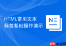 html常用文本标签基础操作演示