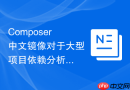 Composer中文镜像对于大型项目依赖分析的加速效果