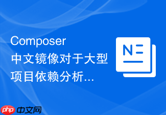composer中文镜像对于大型项目依赖分析的加速效果