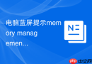 电脑蓝屏提示memory management?内存条清理与金手指擦拭步骤
