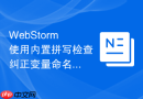 WebStorm使用内置拼写检查纠正变量命名规范流程