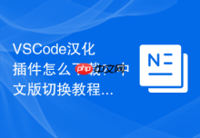 VSCode汉化插件怎么下载？中文版切换教程