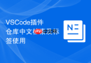 vscode插件仓库中文检索及标签使用