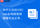 为什么你的VSCode全局搜索快捷键无法正常工作