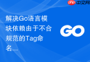 解决Go语言模块依赖由于不合规范的Tag命名导致的无法识别