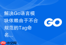 解决go语言模块依赖由于不合规范的tag命名导致的无法识别
