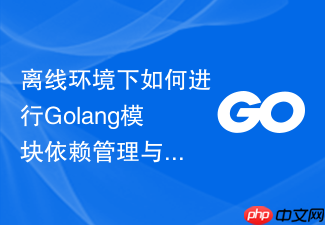 离线环境下如何进行golang模块依赖管理与部署