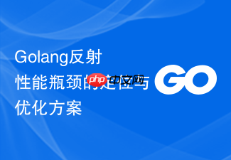 golang反射性能瓶颈的定位与优化方案