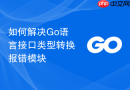 如何解决Go语言接口类型转换报错模块