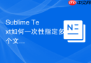 Sublime Text如何一次性指定多个文件类型？