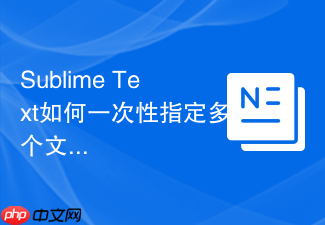 sublime text如何一次性指定多个文件类型?