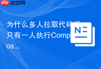 为什么多人拉取代码后只有一人执行composer install报错