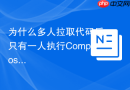 为什么多人拉取代码后只有一人执行Composer install报错