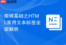 前端基础之HTML常用文本标签全面解析
