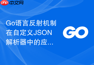 go语言反射机制在自定义json解析器中的应用