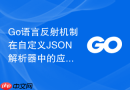 Go语言反射机制在自定义JSON解析器中的应用