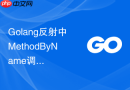 golang反射中methodbyname调用失败的原因与处理