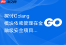探讨Golang模块依赖管理在金融级安全项目中的防中间人攻击配置