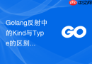 Golang反射中的Kind与Type的区别与使用误区