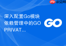 深入配置go模块依赖管理中的goprivate局部环境变量