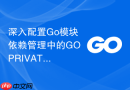 深入配置Go模块依赖管理中的GOPRIVATE局部环境变量