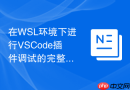在wsl环境下进行vscode插件调试的完整步骤