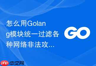 怎么用golang模块统一过滤各种网络非法攻击