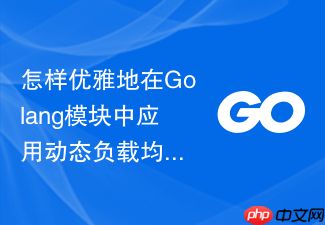 怎样优雅地在golang模块中应用动态负载均衡