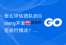 怎么评估团队的Golang开发规范执行情况？代码评审实用清单