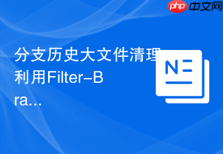 分支历史大文件清理:利用filter-branch与bfg优化分支体积