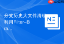 分支历史大文件清理:利用filter-branch与bfg优化分支体积