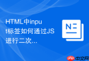 HTML中input标签如何通过JS进行二次校验的实例