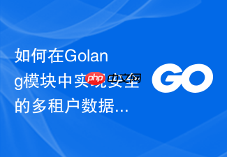 如何在golang模块中实现安全的多租户数据库路由