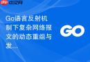 Go语言反射机制下复杂网络报文的动态重组与发送