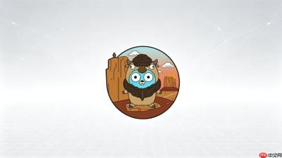 buffalo框架怎么实现数据验证与错误提示