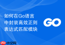如何在Go语言中封装高效正则表达式匹配模块