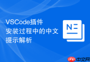 vscode插件安装过程中的中文提示解析
