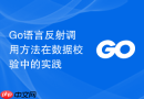 Go语言反射调用方法在数据校验中的实践