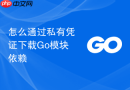 怎么通过私有凭证下载go模块依赖