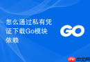 怎么通过私有凭证下载Go模块依赖