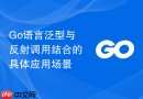 Go语言泛型与反射调用结合的具体应用场景