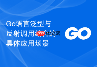 go语言泛型与反射调用结合的具体应用场景