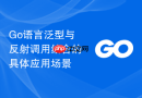 go语言泛型与反射调用结合的具体应用场景