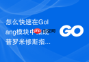 怎么快速在Golang模块中集成普罗米修斯指标监控