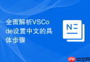 全面解析VSCode设置中文的具体步骤