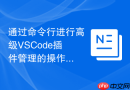 通过命令行进行高级VSCode插件管理的操作方法