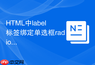html中label标签绑定单选框radio的实现方法
