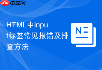 html中input标签常见报错及排查方法