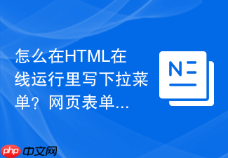 怎么在html在线运行里写下拉菜单?网页表单元素选择教程
